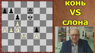 Пушков VS Гаприндашвили | Учимся играть эндшпиль | Шахматы