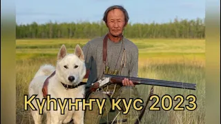 Күһүҥҥү кус 2023 сыл. Иккис чааһа