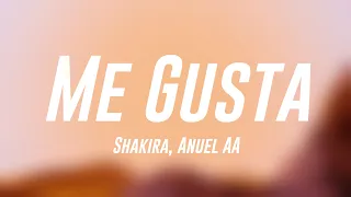Me Gusta - Shakira, Anuel AA [Lyrics Video] 🏔