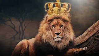 Доказательства того, что лев - царь зверей👑👑👑💪💪💪