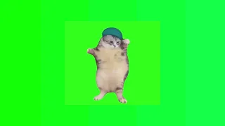 cat dancing on - girlfriend - Song - Green Screen | @chromakuts