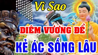 Tiết Lộ Lý Do Vì Sao DIÊM VƯƠNG Để KẺ ÁC Sống Lâu | Chuyện Nhân Quả Báo Ứng Hiện Đời, Nghe Mà Sợ