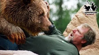 Bear Mom Crying for Help Leads Man To Her Dying Cubs,then Something Unbelievable Happens!