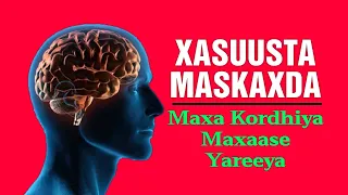 Xasuusta Maskaxda Maxa Kordhiya Maxaase Yareeya Daawo