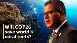 Will COP26 negotiations offer hope to save coral reefs?