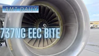 How to BITE Test EEC on 737NGs