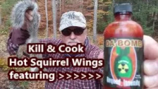 Squirrel Hot Wings