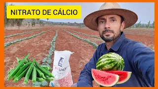 Nitrato de cálcio na cultura da Melancia e Quiabo //Fui a cidade compra defencivos para a horta.