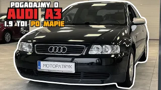 #51 Audi A3 8L 1.9 TDI na wypasie i po programie 🚗 opinie, wnętrze, jazda - MOTOPATRYK -