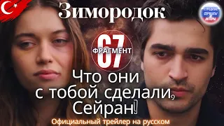 Зимородок 67 серия 1-й официальный трейлер #зимородок #сейфер #турецкиесериал