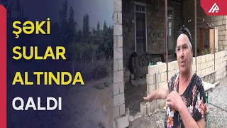 Sel suları Şəki və Oğuzda fəsadlara səbəb oldu  - APA TV