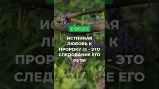 Истинная любовь к Пророку ﷺ - это следование его пути | Абу Яхья Крымский