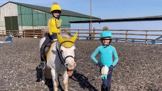 Hobby horse Vs horse - riding dares!