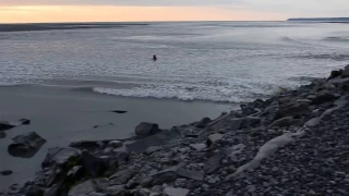 Marée montante sur le Mont Saint-Michel selon l'expression " à la vitesse d'un cheval au galop"