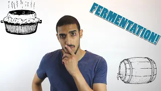 Fermentation  شرح بالعربي