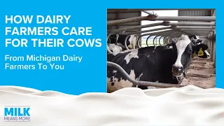 How Dairy Farmers Care for Their Cows