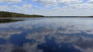 Лесное озеро "Подозерище" (Острова Дулебы)