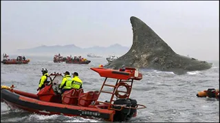 11 Criaturas Espeluznantes Captadas en AUSTRALIA