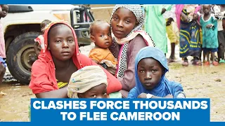 Clashes over water resources force thousands to flee Cameroon’s Far North