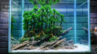 #172 Keren banged,bonsai Aquascape tema pinusan [subtitle english]