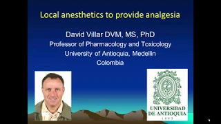 Local Anesthesia in Balanced Anesthetic Techniques