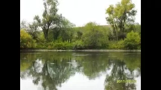 Алтай, Солонешное, река Ануй. Altai, Soloneshnoye, Anui River.