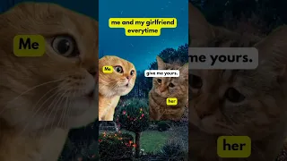 sad cat and talking cat meme #catmemes #talkingcat #cat #funnycats #cats #catshorts