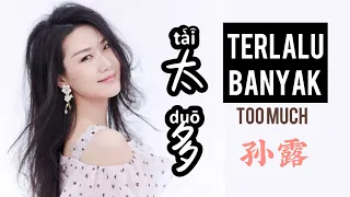 Tai Duo 太多 - Sun Lu 孙露 - Terlalu Banyak - Too Much - Lagu Mandarin Subtitle Indonesia Pinyin