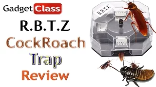 (:Review:) RBTZ CockRoach Trap ~ Tested on Camera w/Dubia Cockroaches