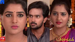 Manasu Mamata Serial Promo - 25th June 2020 - Manasu Mamata Telugu Serial - Mallemalatv