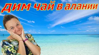 ДИМ-ЧАЙ В АЛАНИИ! АЛАНЬЯ САМОСТОЯТЕЛЬНО!