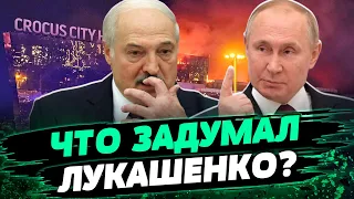 ЛУКАШЕНКО ПОДСТАВИЛ ПУТИНА! Какое отношение к теракту в Москве имеет Беларусь — Франак Вячорка