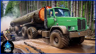 55 EXTREME Dangerous Biggest Wood Logging Truck  Operator Skill Working At Another Level