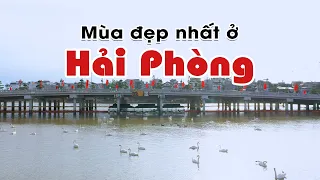 Hàng tỷ đồng trôi trên sông ở Hải Phòng mà không ai dám vớt