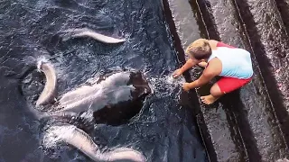 Junge fütterte gerade Fische im Meer. Doch plötzlich kam das hier an die Oberfläche!..