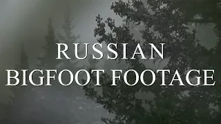 INCREDIBLE RUSSIAN BIGFOOT FOOTAGE - Mountain Beast Mysteries Episode 31.