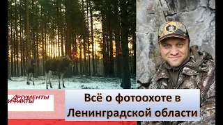 Павел Глазков. Топ-5 мест для фотоохоты в лесах Ленинградской области