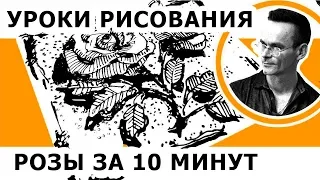 Как нарисовать розу. За 10 минут. Скетчинг. Эдуард Кичигин