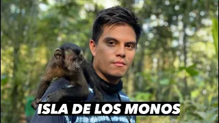 VISITANDO LA ISLA DE LOS MONOS