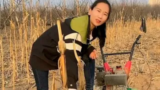 Part 110  Orchard greenhouse management rotary tiller Douyin to help farmers High-performance..👍