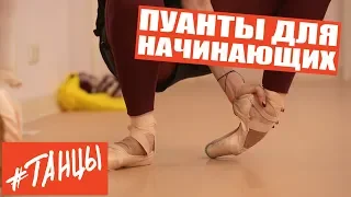 Пуанты для начинающих. Упражнения от балерины Анастасии Лименько