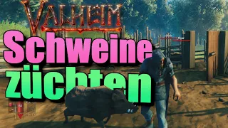 Valheim deutsch guide Wildschweine züchten Schweine Tutorial tipps