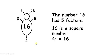 Draw factor bugs to recognise factors, prime numbers and square numbers