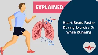 HOTS | Respiration In Organisms | Heart Beats Faster During Exercise Or while Running