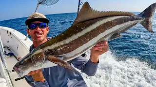 Fishing GIANT Manta Rays for a Delicious Cobia Prize