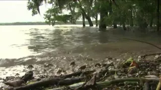 Father and grandfather save boy in Texas alligator attack