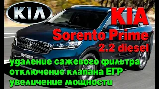 KIA Sorento Prime: удаление сажевого фильтра (DPF), отключение клапана ЕГР, увеличение мощности