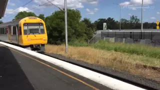 Goodna Station 20/2/2016