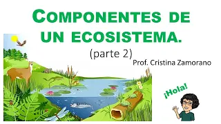 Componentes de un Ecosistema (parte 2): Hábitat y nicho ecológico