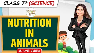 Nutrition in Animals || Full Chapter in 1 Video || Class 7th Science || Junoon Batch